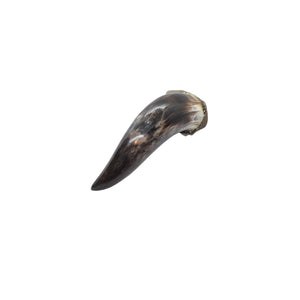 BLACK BEAST HORN RING🐮✨ 🐂