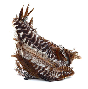 WILD TURKEY SHOES